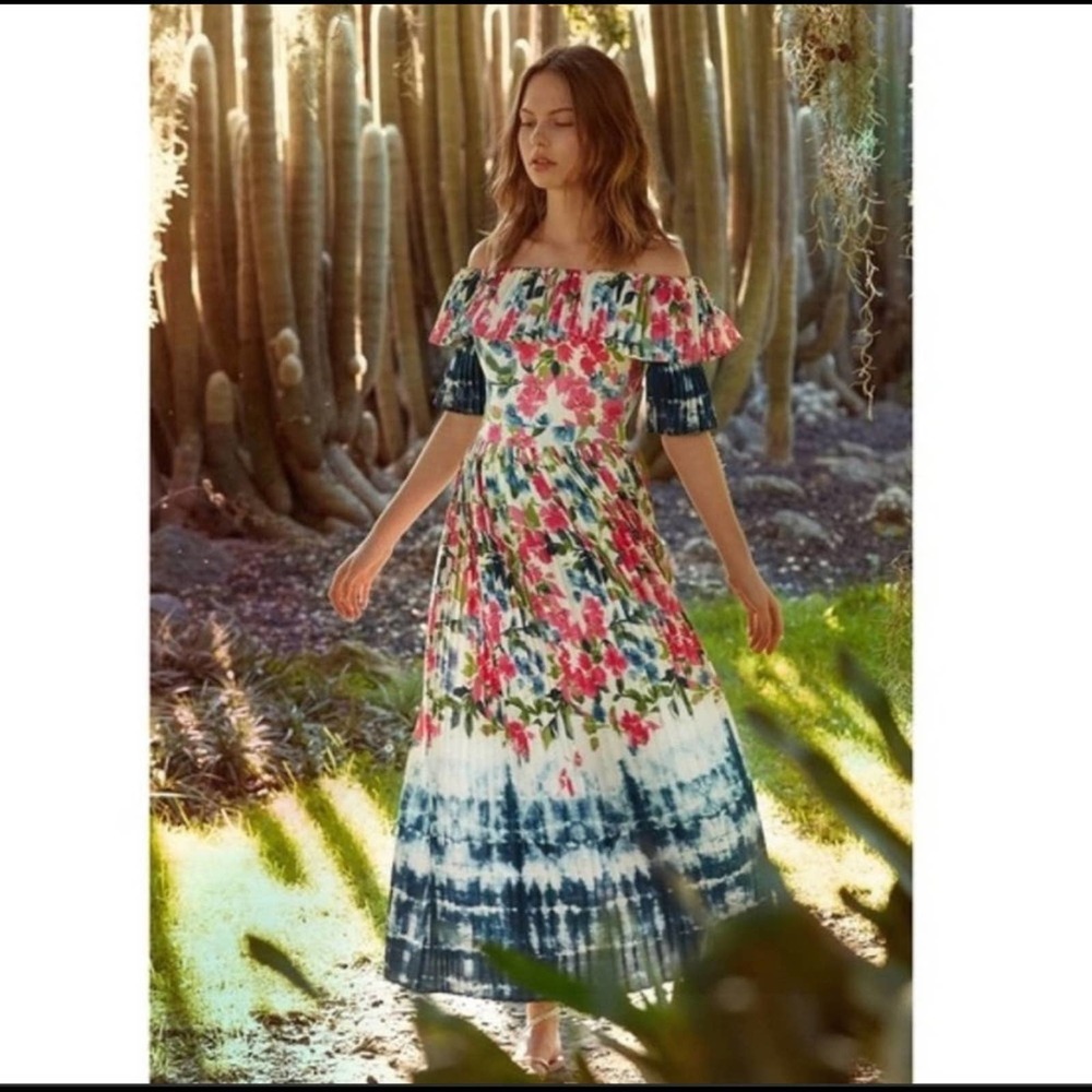 MISA Los Angeles Mirabelle Maxi Dip Dye Dress Size XS